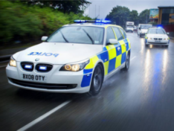 PoliceCars-300x225