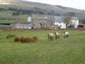Defra