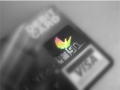 DebitCard